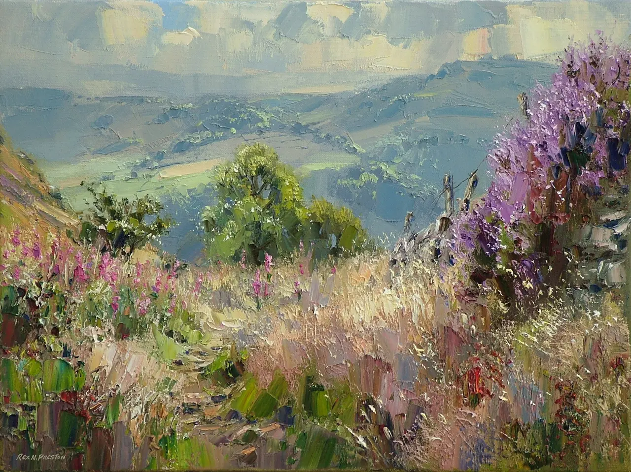 Rex Preston - heather and willowherb, curbar gap